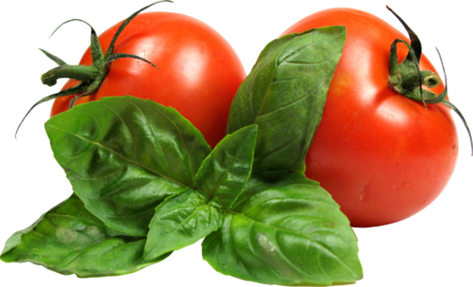 Pizza recette sauce tomate